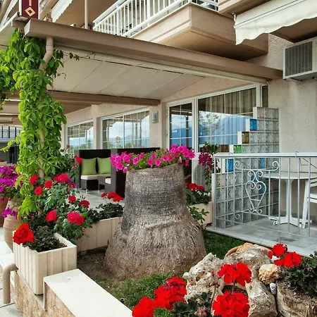 Отель Amfion 3*